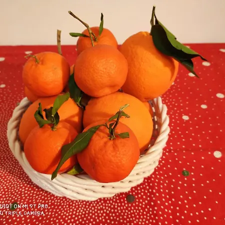 Isabell 3* 乔亚德尔科尔